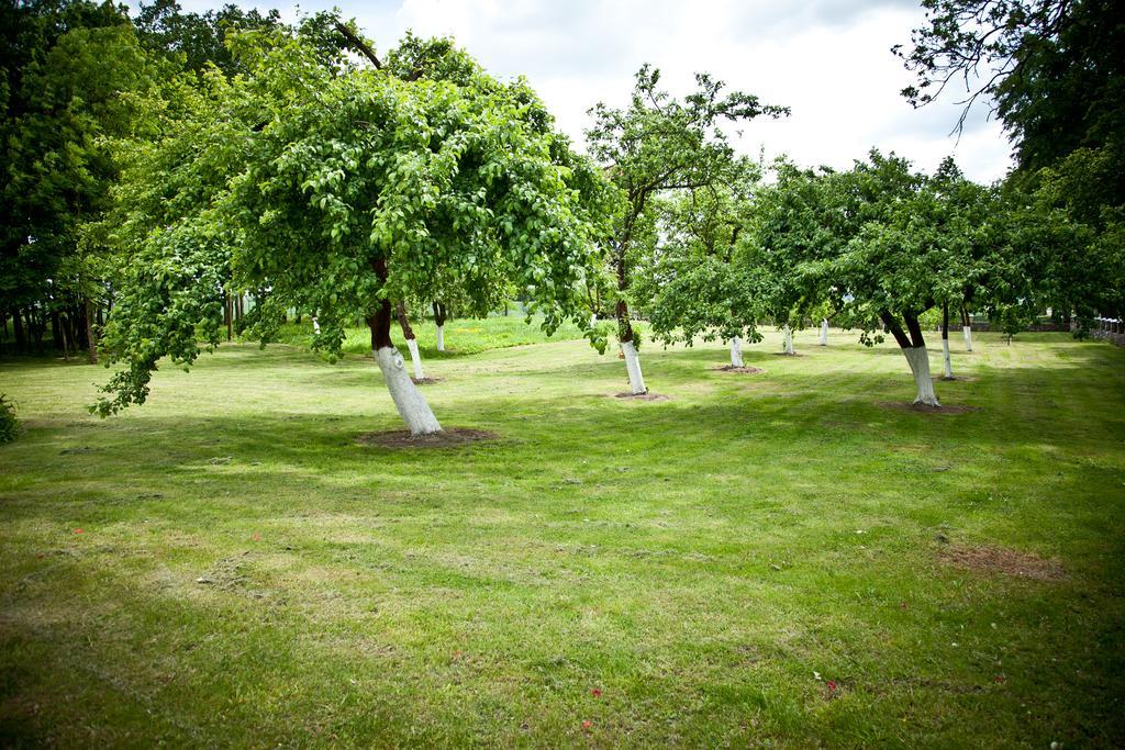 Parque de vacaciones Dworek Dębówko Bartoszyce